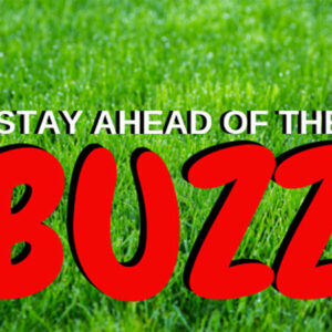 stay ahead of the buzz blog