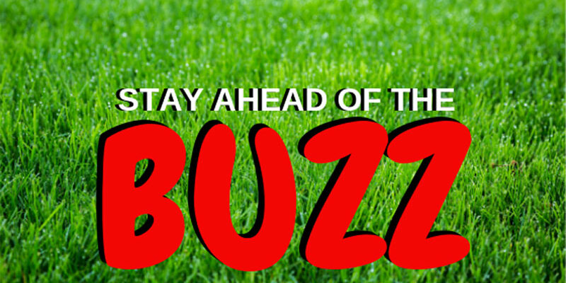 stay ahead of the buzz blog