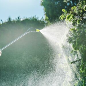 insecticides can contain dangerous chemicals