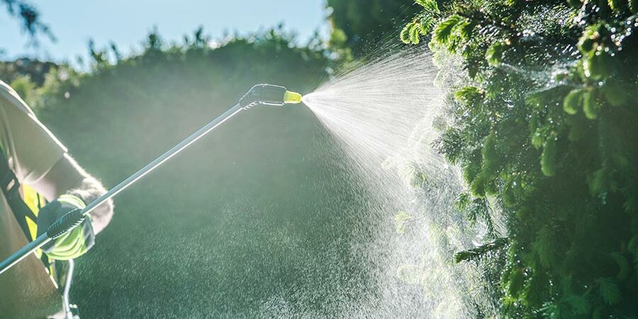 insecticides can contain dangerous chemicals